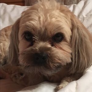 Meet your Posher, Rita